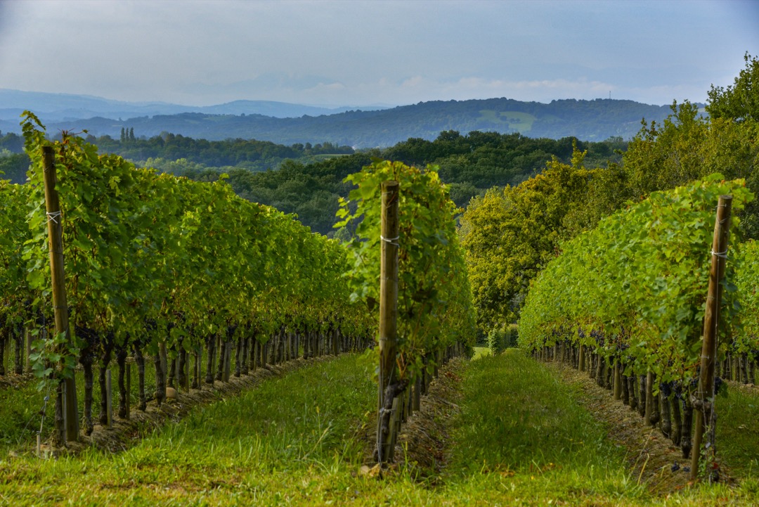 Domaine Mont d'Oraàs